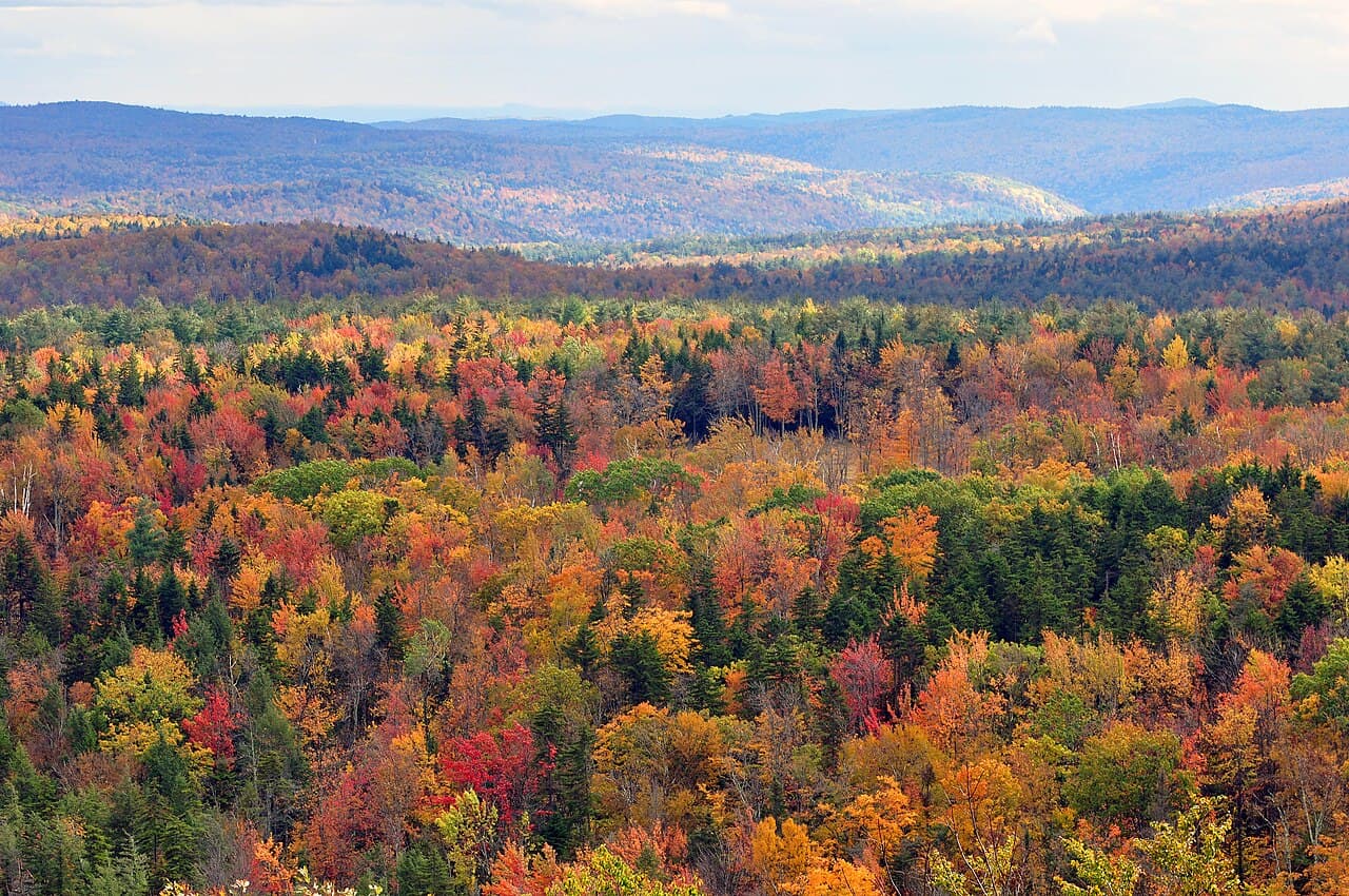 New York City to New England Fall Foliage Private Car route and destination view